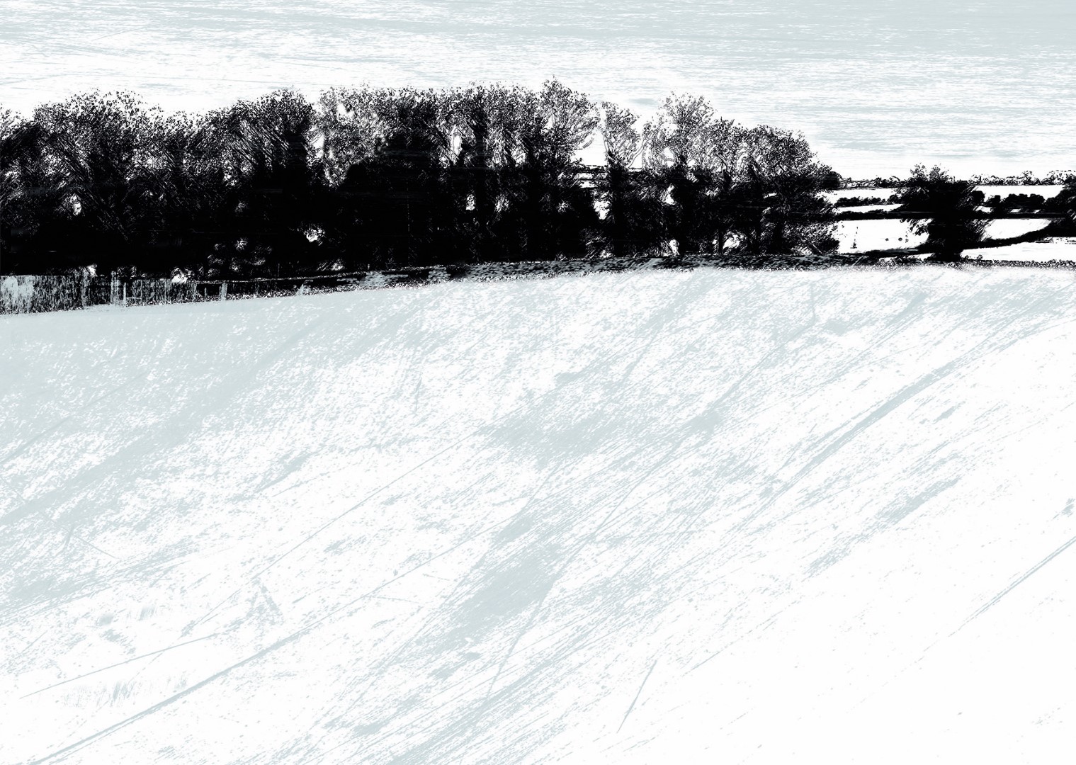 Delphine Jones - Mid Devon Fields in Winter
